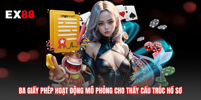 Ba giấy phép hoạt động mô phỏng cho thấy cấu trúc hồ sơ