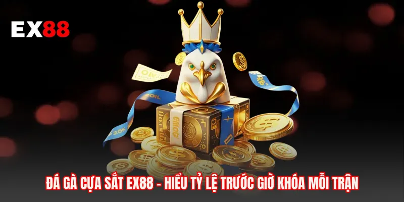 Đá Gà Cựa Sắt EX88 - Hiểu Tỷ Lệ Trước Giờ Khóa Mỗi Trận