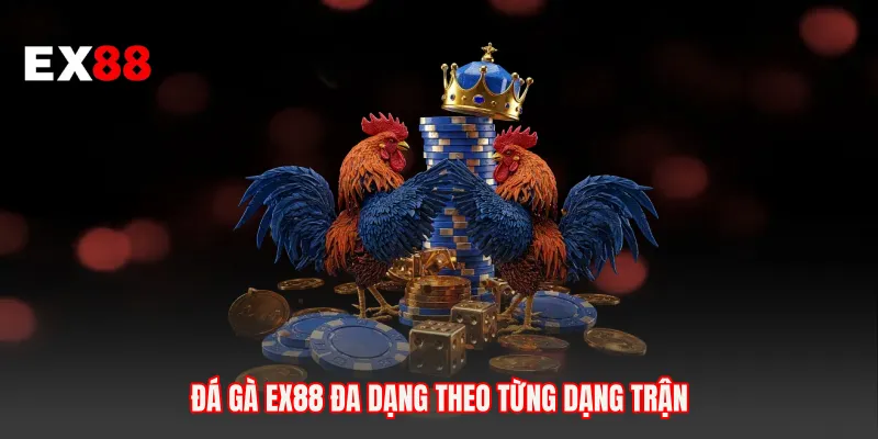 Đá gà EX88 đa dạng theo từng dạng trận