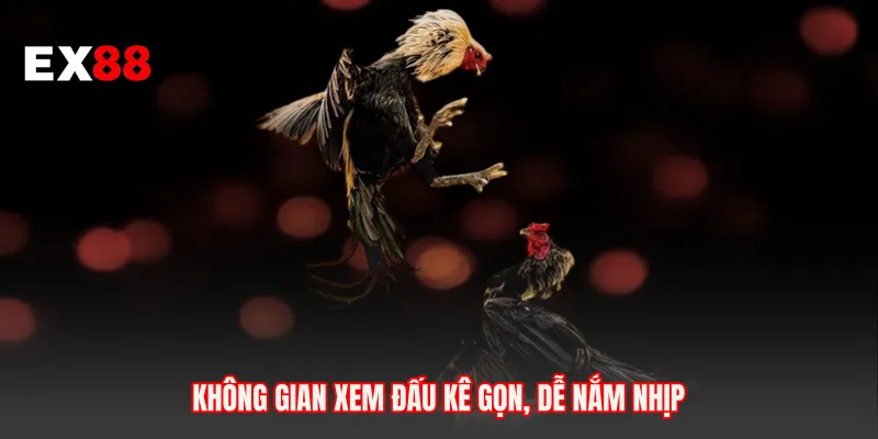 Không gian xem đấu kê gọn, dễ nắm nhịp
